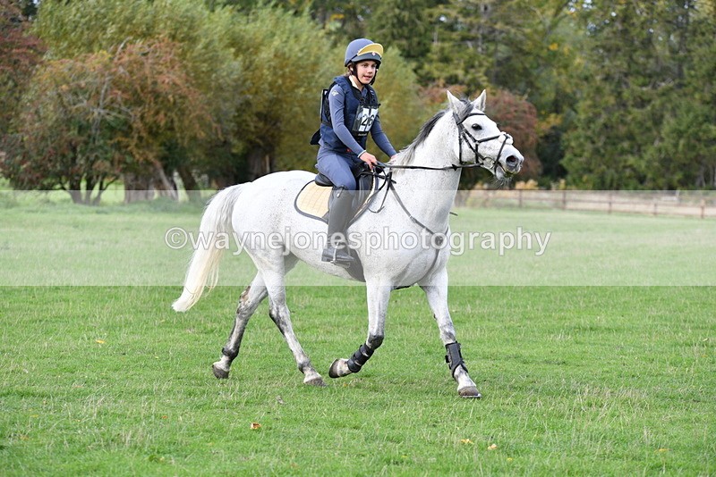 WJ5_0431 - Time 13:59 to 14:28