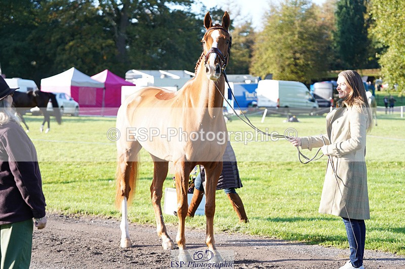 241026-101754-11755 - 010-Julia.Norman-SCOTCH.ON.THE.ROCK'Z