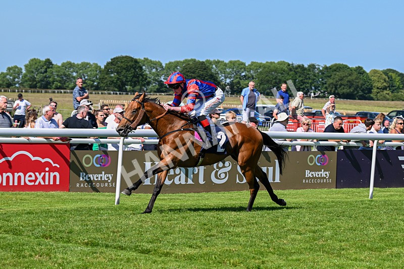 250624-Race 5-Drink Dry-5792 - Race 5