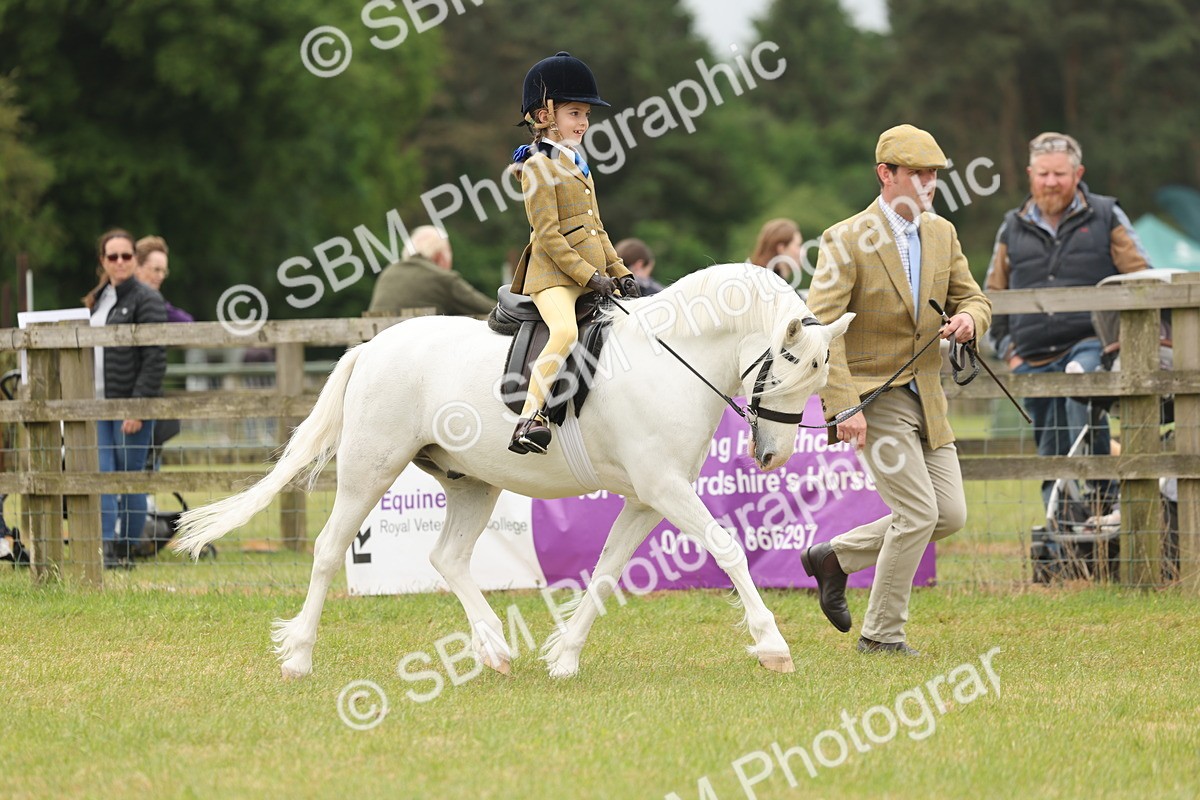 SBM_06706 - Class 74-75 - M&M Lead Rein and First Ridden Pony