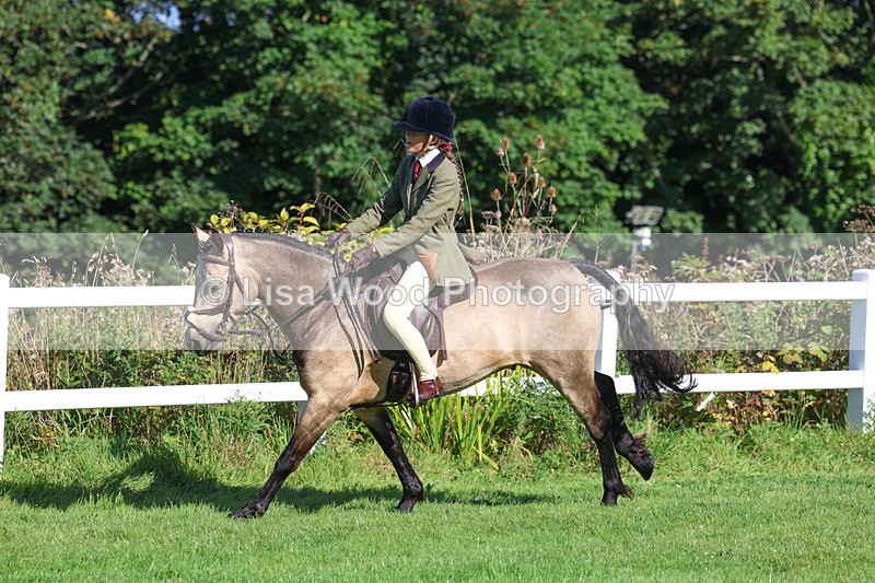 3E7A7864 - Class 2: Open Working Hunter pony
