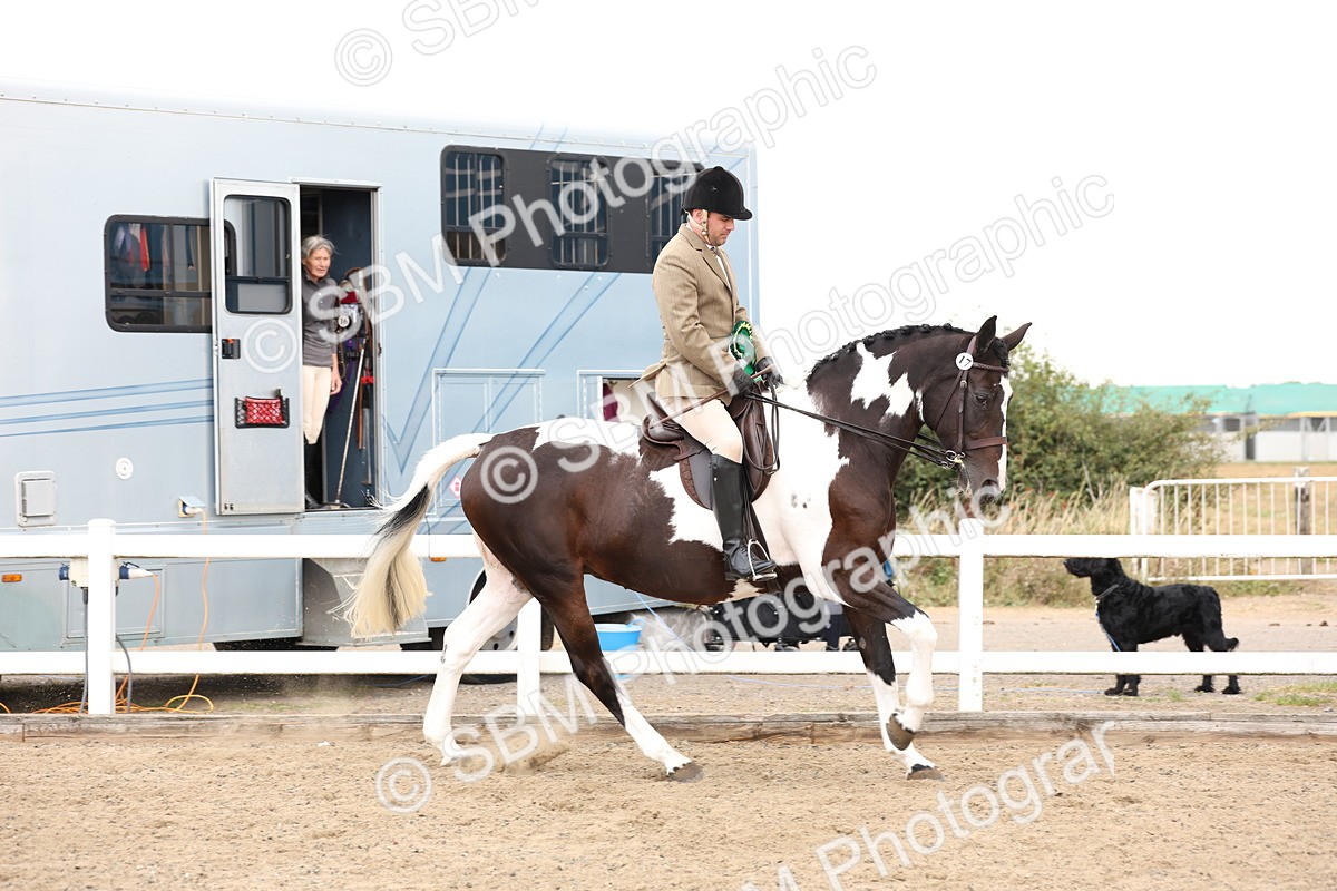 SBM_02955 - Class 53 - Ridden Competition Horse/Pony