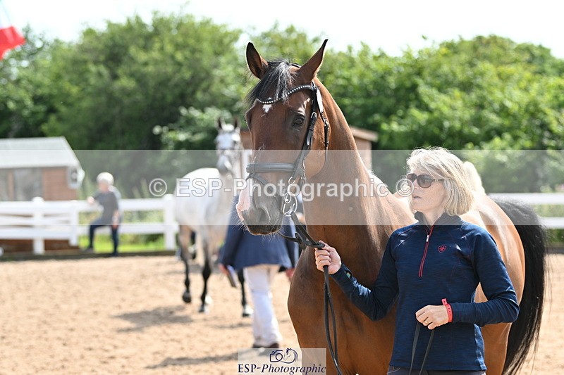 240717A-155800-03222_Trot Up 3pm to 4pm - 077-965-7712