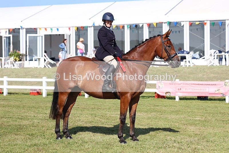 3E7A5742 - Class 2: Rising Star Large Hack/Riding Horse