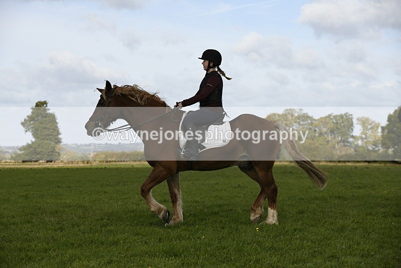 _DSC6113 - Time 11:23 to 12:05