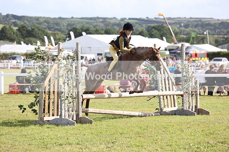 JPP_2827 - Class 20: Working Hunter 70cm