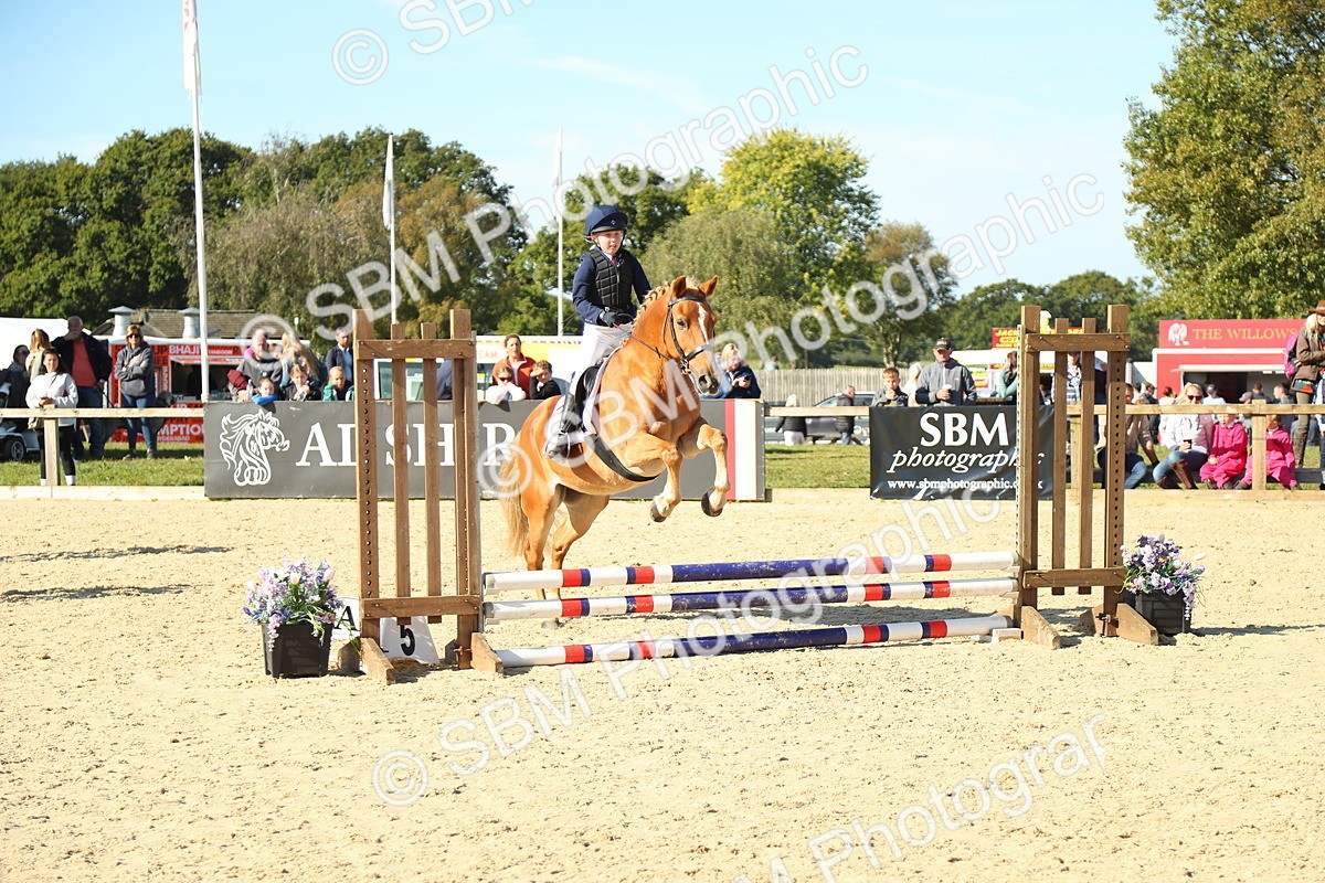 SBM_36003 - J5 - Junior Pony 50cm Championship