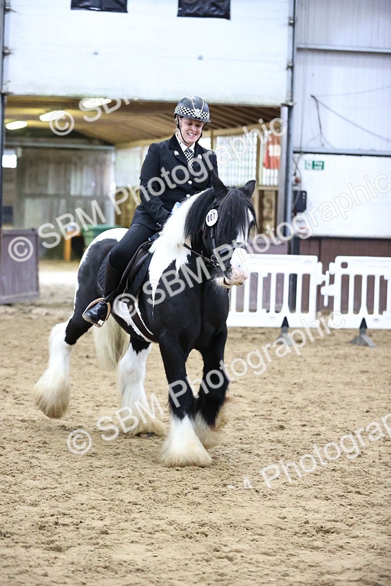 SBM_6400 - Class 45-42 - Ridden Irish Breeds-Ridden Cob