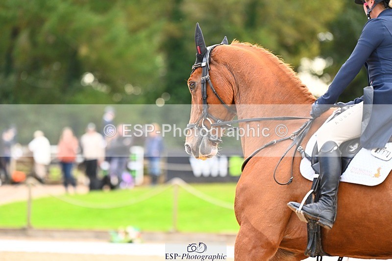 231020-145850-10060 - 311-DALOUBET.MANSOLEIN.Z-Kat.Raybould-DR