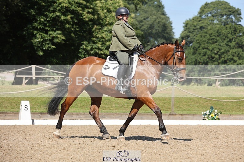 240719-105403-00814 - 169-Marion_Eaves-Indigo_Queen_of_Hearts