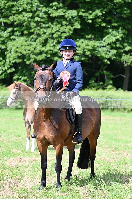 WJ7_0882 - Class 8 First Rally Pony