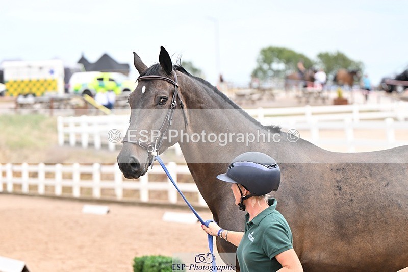 250716-143852-01256 - Trot Up 2.30 to 3.30