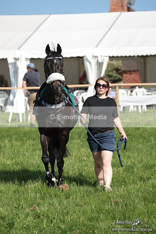 PR 250526 28 - Pony Racing from Chaddesley Corbett 25/05/26