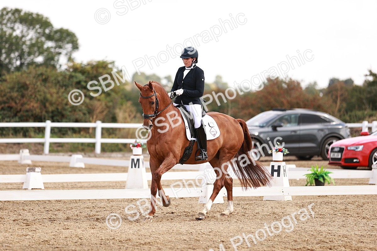 SBM_017684 - Class 11 - Advanced Medium 6