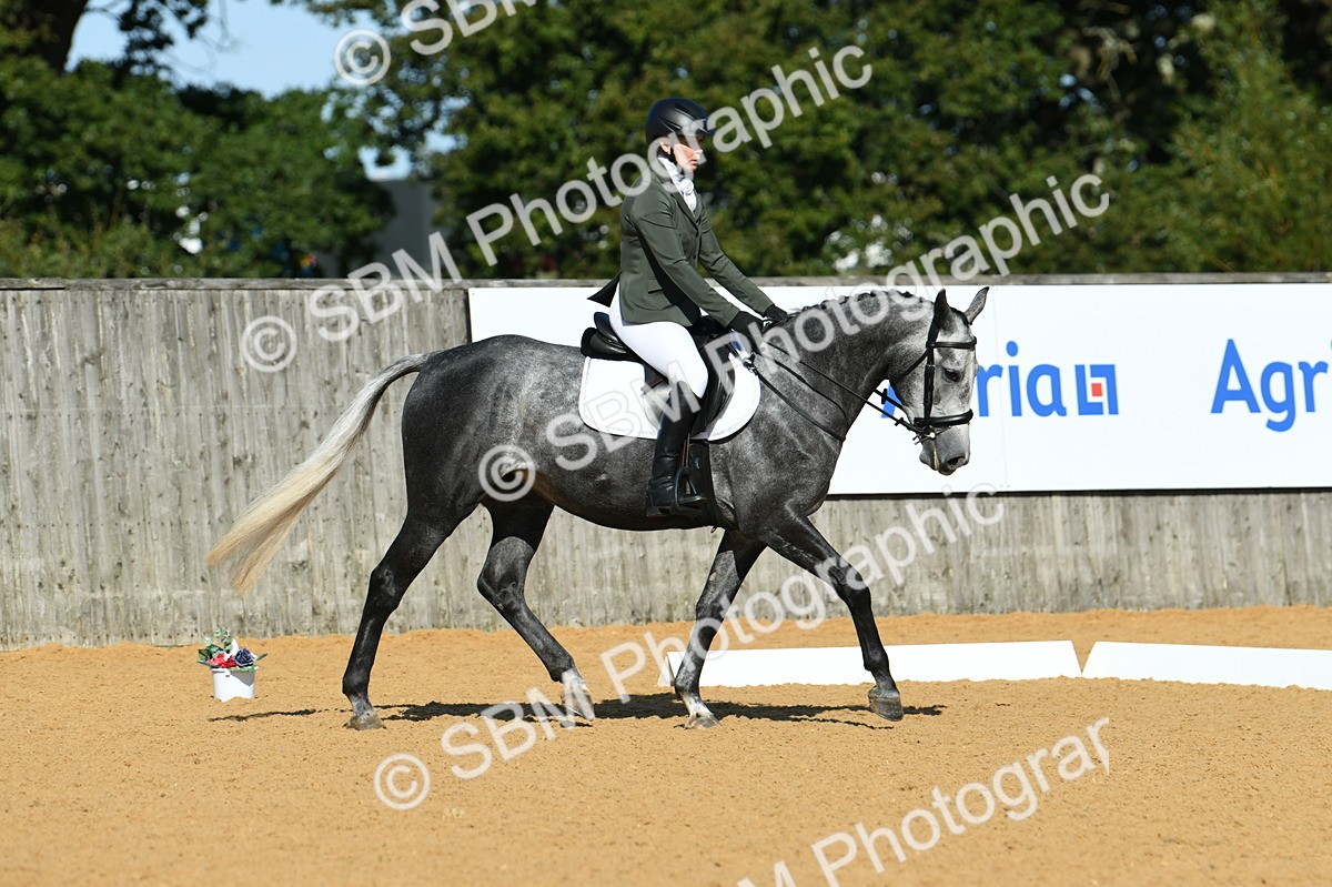 SBM_17958 - D4 - Small Tour Championship - Intro B