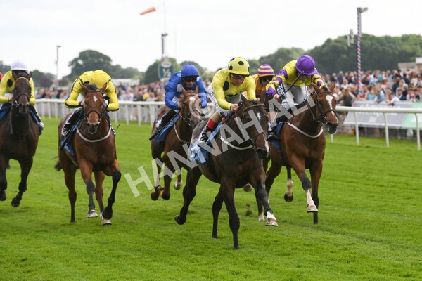 yr11062022r6-22 - Race 6 4.15pm Reg Griffin Appreciation EBFstallions.com Maiden Stakes