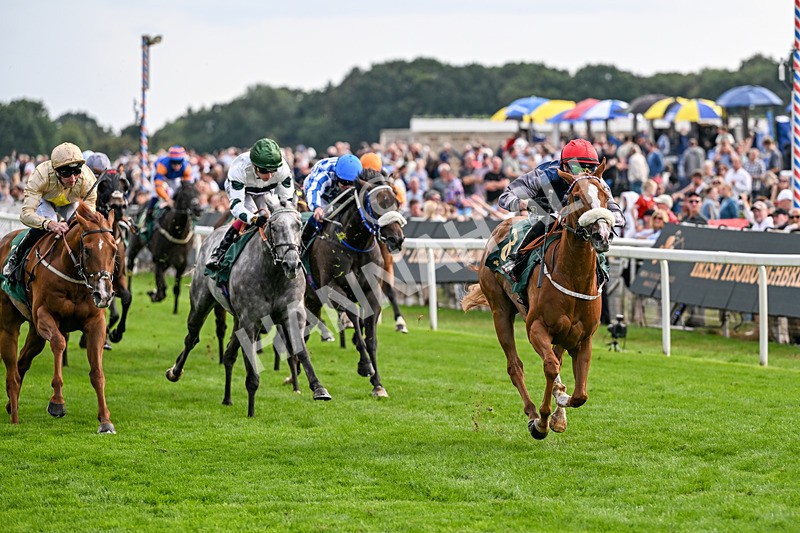 190826-Race 6-Miss Yechance-1642 - Race 6 16.45pm Irish Thoroughbred Marketing Handicap