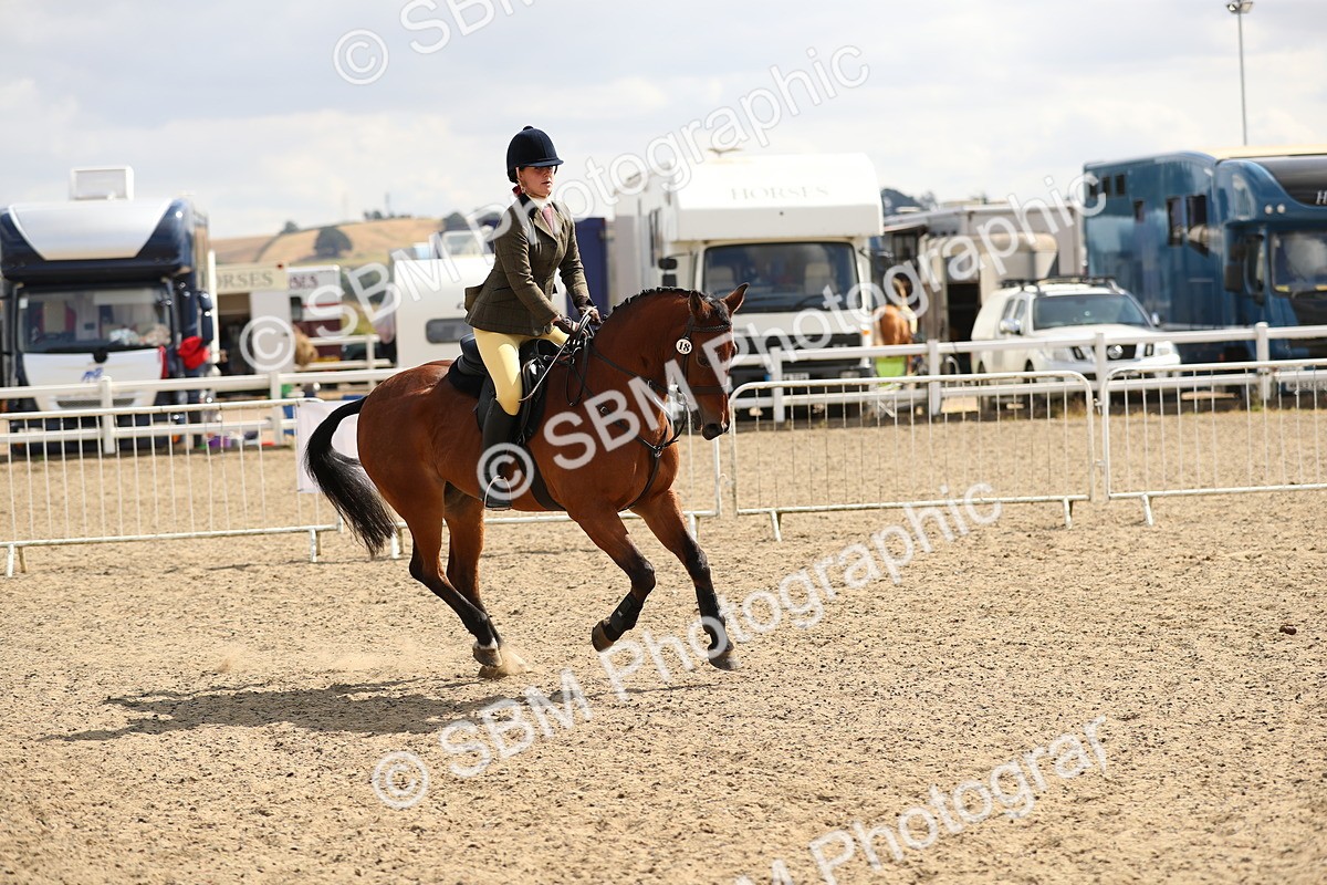 SBM_04231 - Class 46a Style & Performance 50cm (15-19)