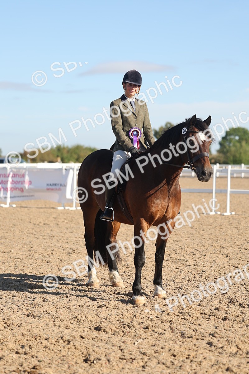 SBM_11140 - Class 302 - Ridden M&M Large Breeds
