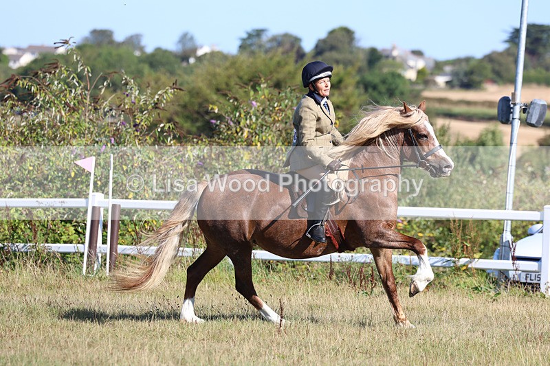 3E7A5436 - Class 3: Working Hunter 70cm