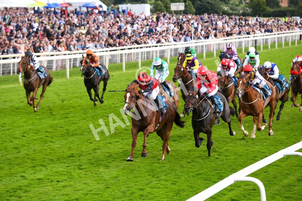 150723-Race 7-Roundhay Park-0749 - Race 7 5.30 pm John Smith's Sprint Handicap