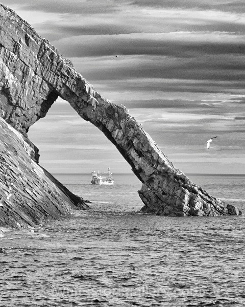 Bow Fiddle Rock - Scotland: Black and White