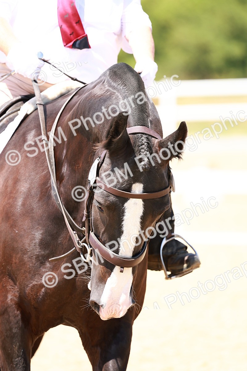 SBM_011660