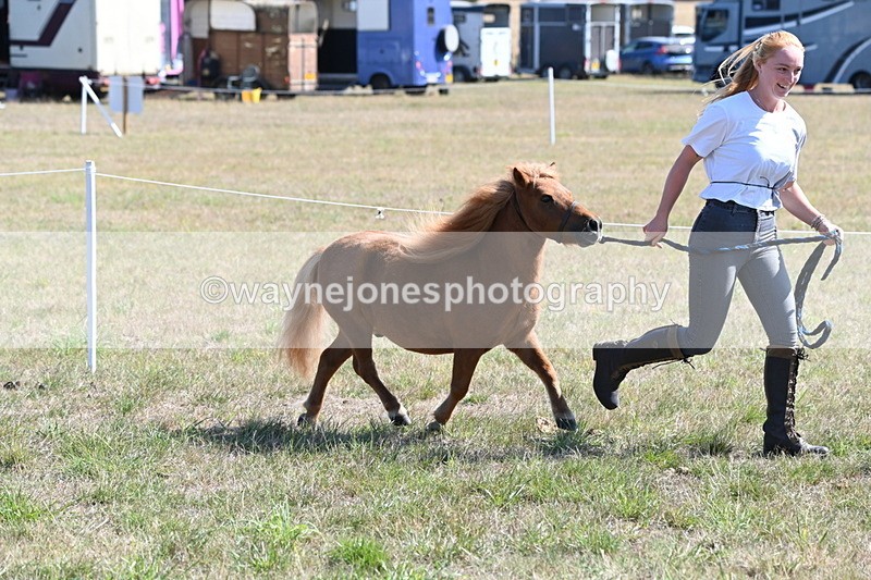 WJ6_4592 - Class 17 Mountain & Moorland