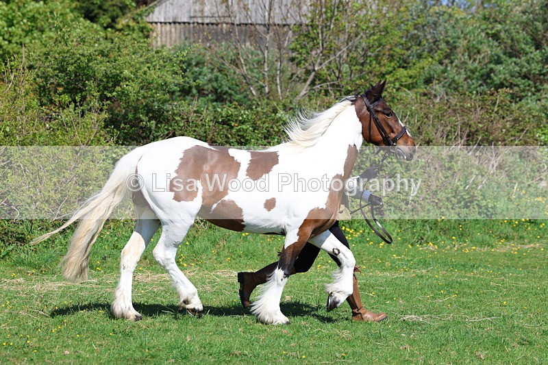 3E7A9366 - Class 16: Best Grass Kept