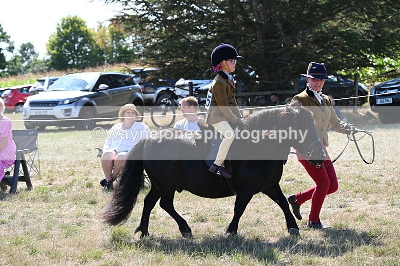 WJ6_7729 - Class 36 Lead Rein