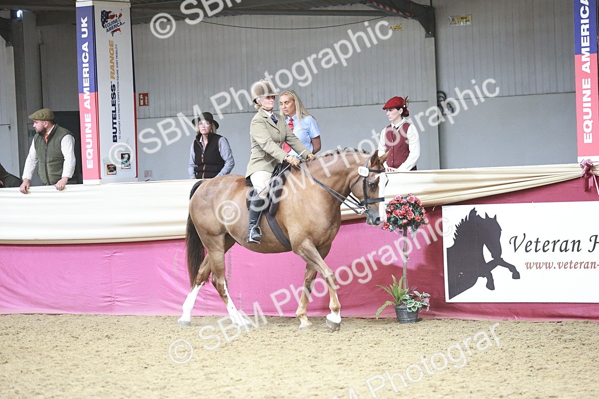 SBM_08800 - Class 12R - Regional Ridden Pre-Vet