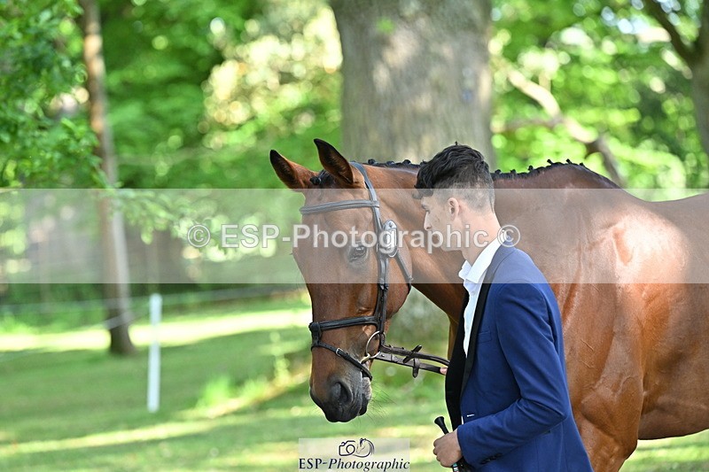 250521A-162052-01078 - C-216-Harrison.Chart-MY.KIND.OF.LADY