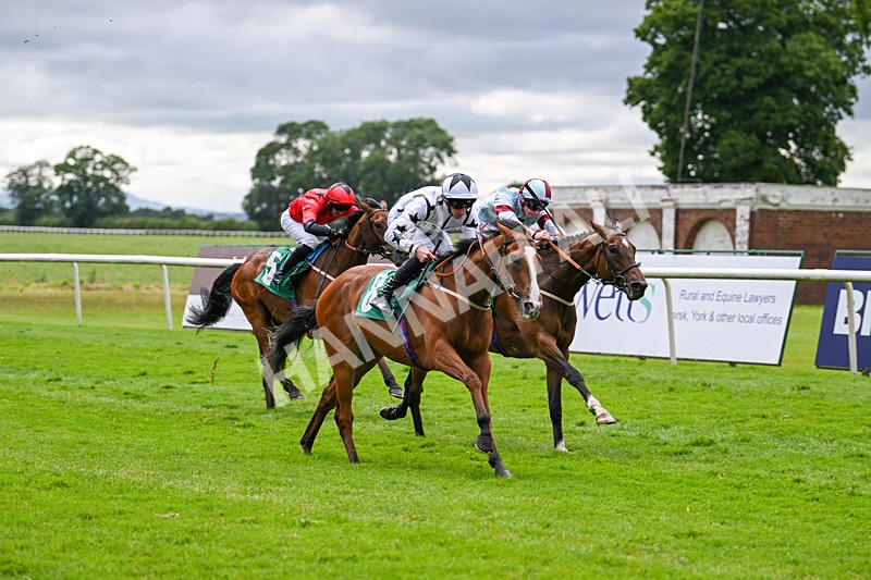 030724-Race 5-Petra Celera-0869 - Race 5