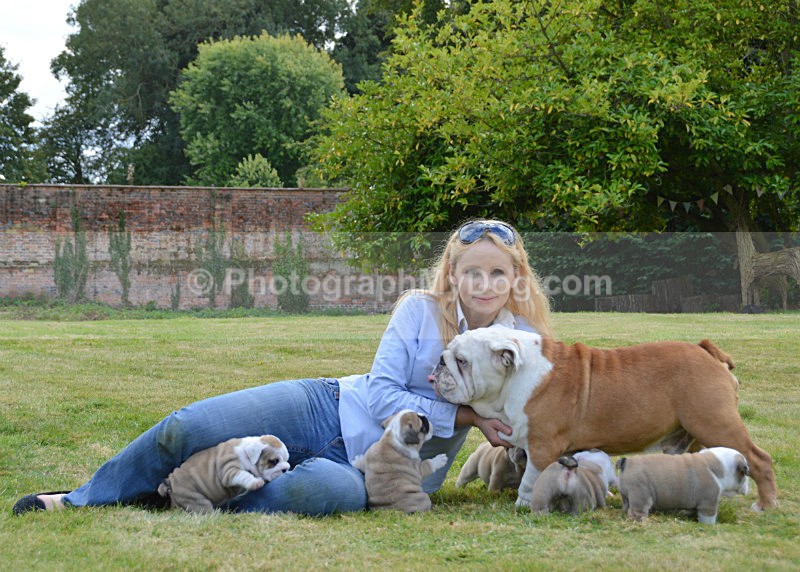  - Bulldogs