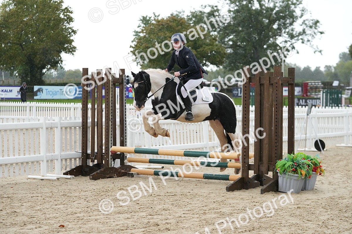 SBM_33941 - J5 - Junior Pony 50cm Championship