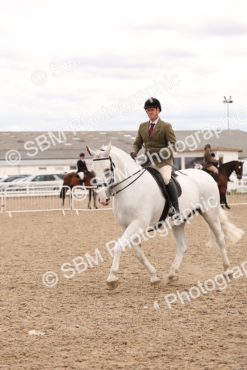 SBM_17226 - Class 213 - Ridden Hunter - Large