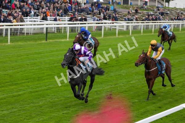 131023-Race 1-Pilgrim-9720 - Race 1 2.05pm William Hill EBF Novice Stakes