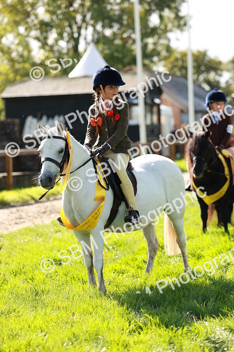 SBM_42163 - S32 - Mountain & Moorland Working Hunter Pony