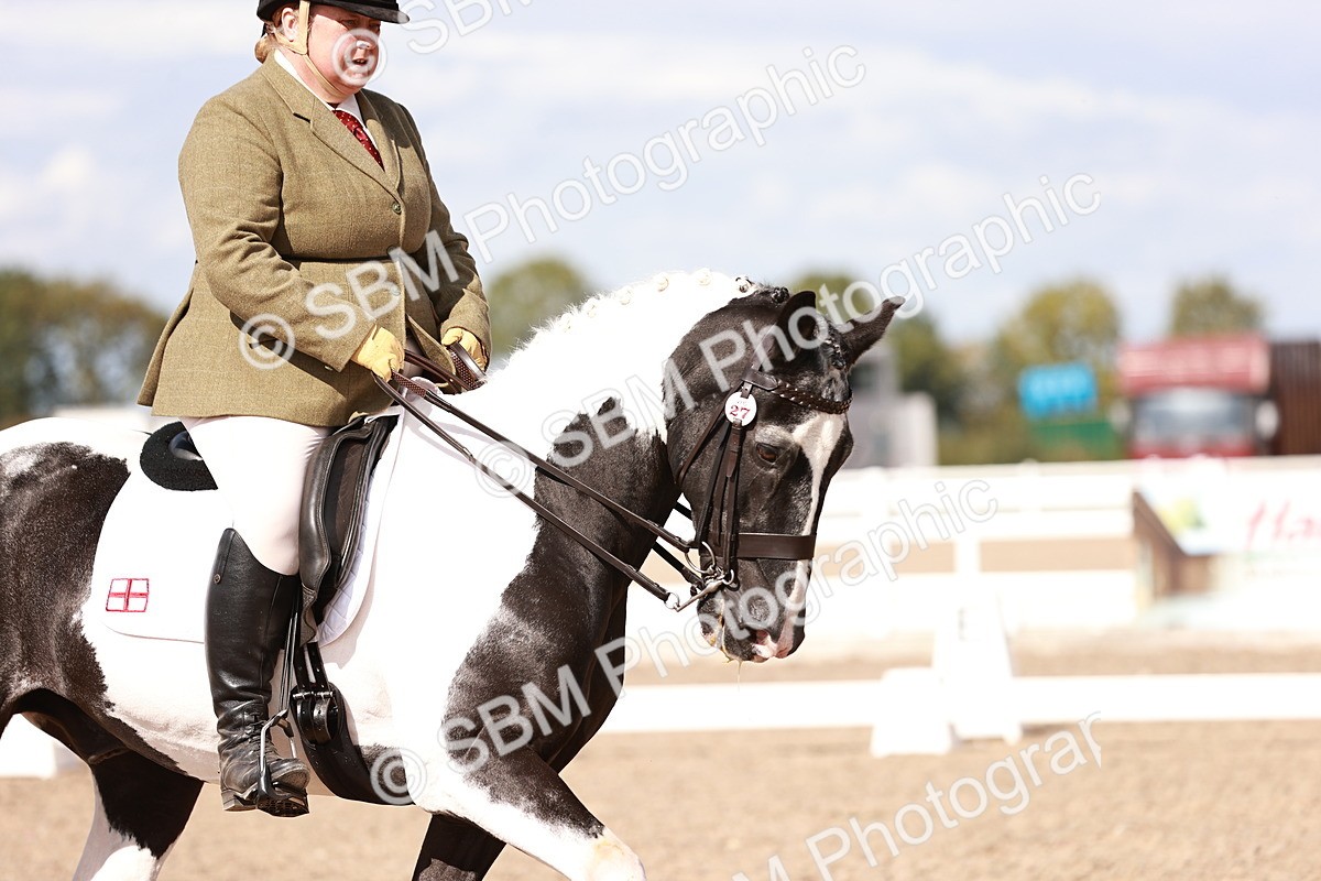 SBM_06599 - Class 39 - Medium 3