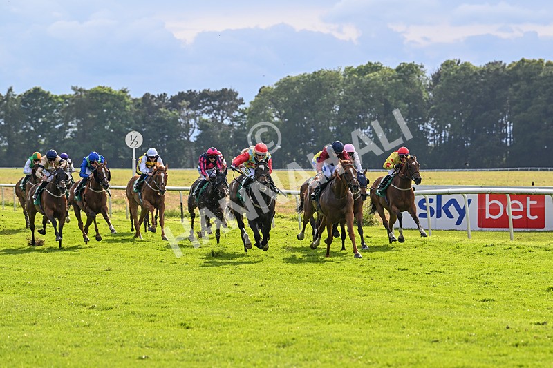 160624-Race 6-Letsbefrank-9175 - Race 6