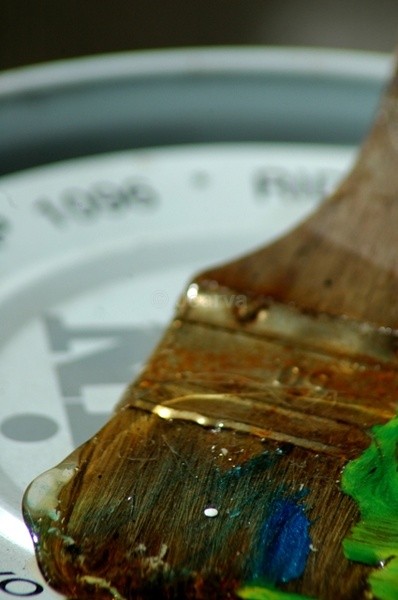 Varnished - Freixo Atelier  - II