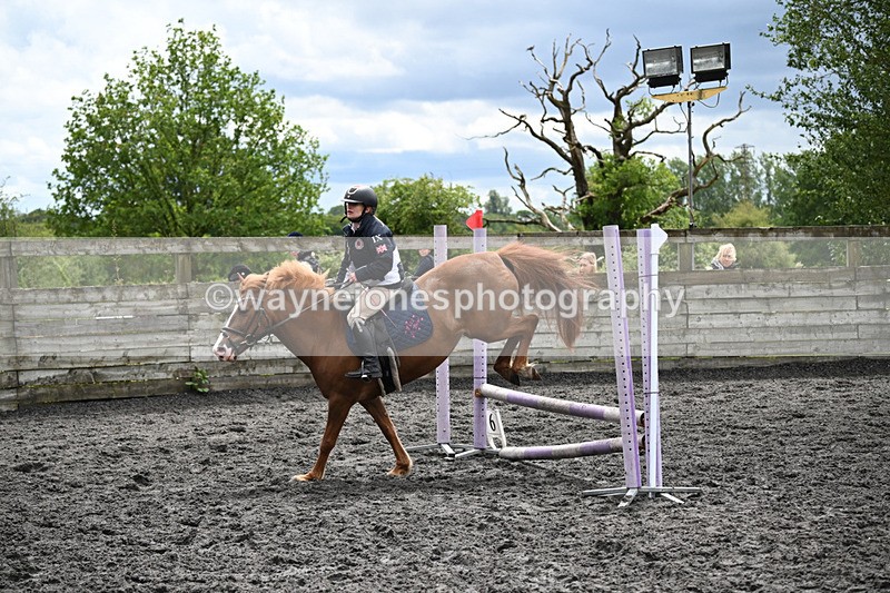 WJ6_0178 - Class 13 Novice 60cm
