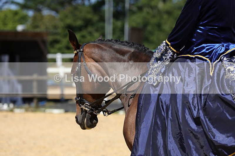 1X9A9009 - Class 24: Ridden Concours D'Elegance