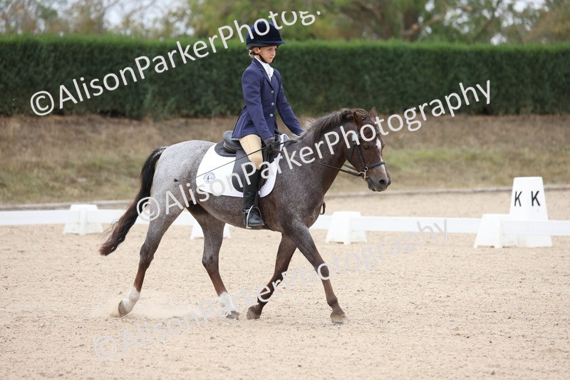 20250819-0873 - Class 2 - Prelim 1