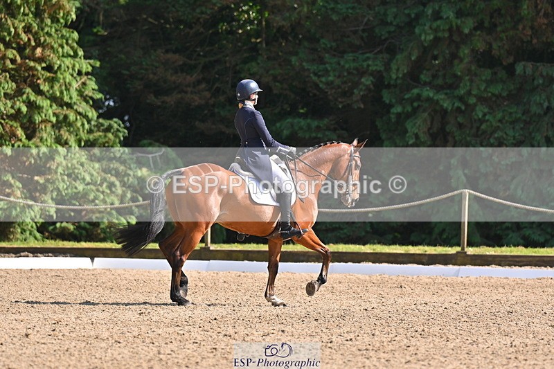 250523A-163235-08086 - B-378-Molly.Brown-KILRUSH.RED