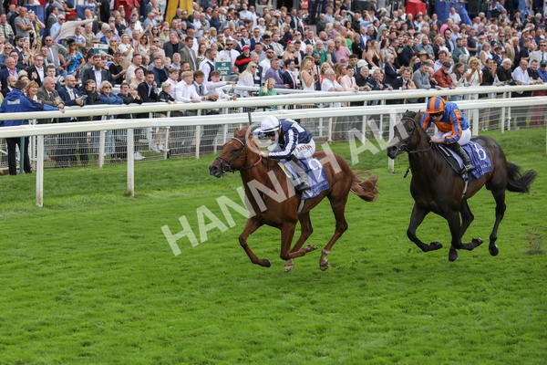 250823-Race 3-Lake Forest-5845 - Race 3 3.00pm Al Basti Equiworld Dubai Gimcrack Stakes