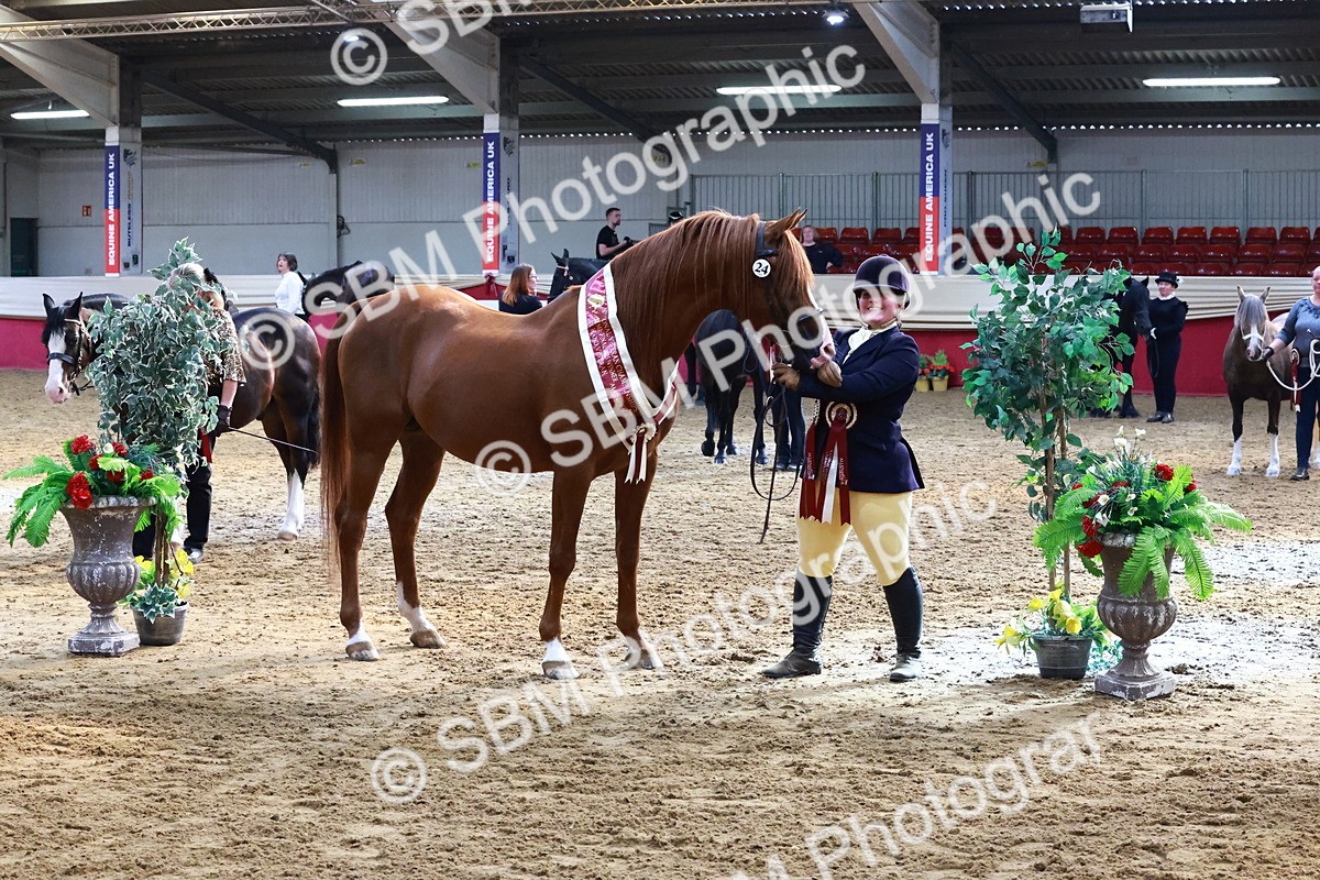 SBM_22432 - Class 902 - Supreme Final - IH Diamond