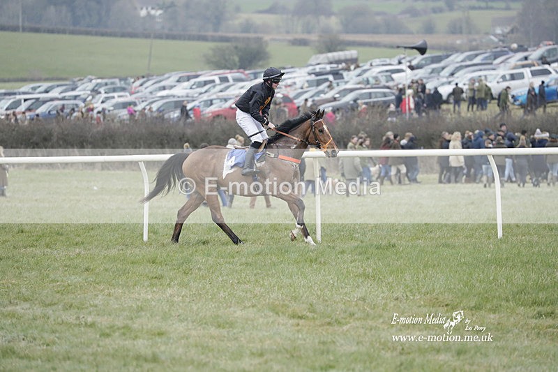 PtP 040323 610 - Duke of Beauforts Hunt Point-to-Point Didmarton 04/03/23