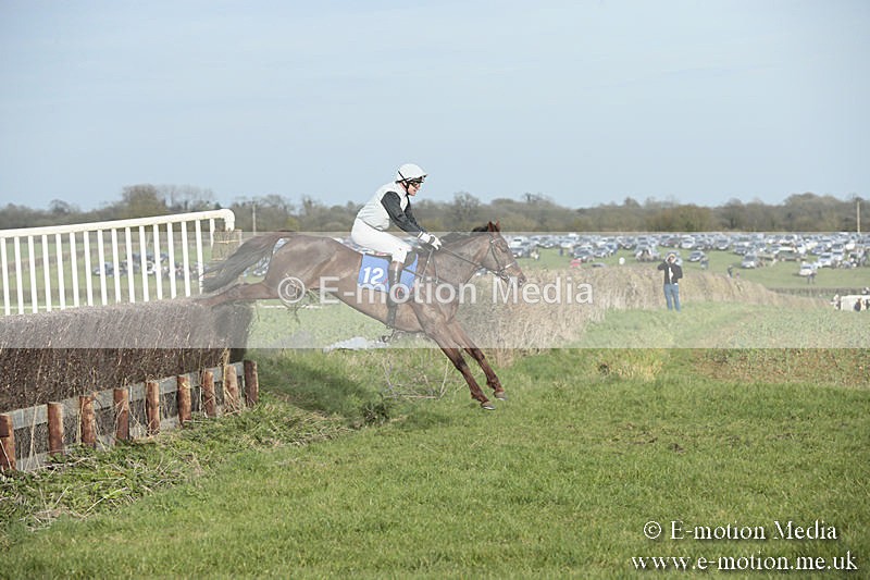 PtP 230319 491 - VWH Hunt Siddington Point-to-Point Racing 23/03/19