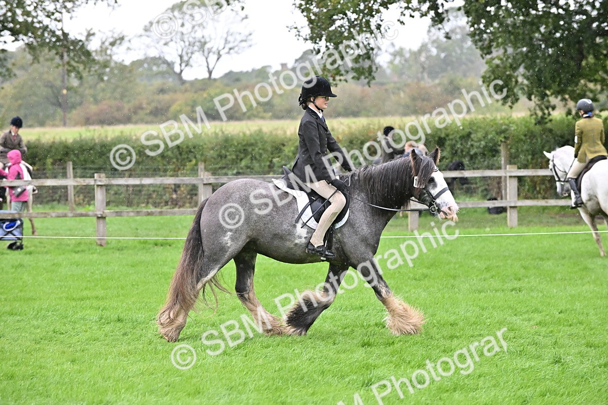 SBM_42976 - S12 - Family Horse & Pony